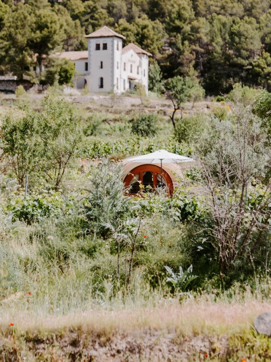 Finca Seguró among the mountains and greenery