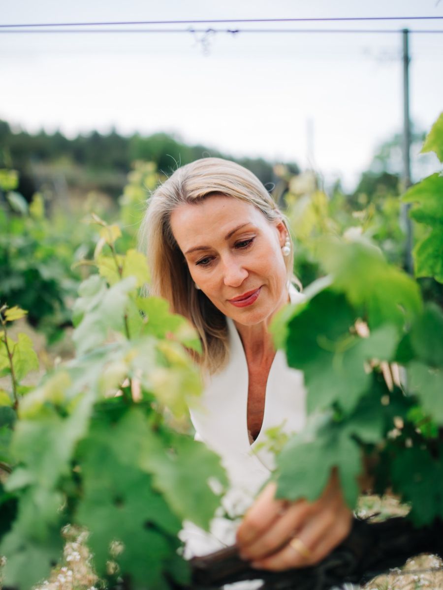 Wine tastings — 5